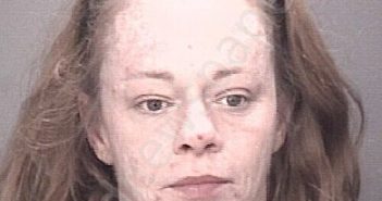 TAYLOR, SYLVIA ANN | 2025-10-27 11:38:00 Robeson County, North Carolina Booking