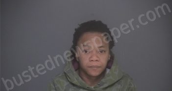 MCFEE, MAISHA | 2025-10-27 22:14:00 Lapeer County, Michigan Booking