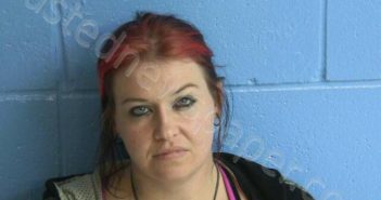 <B>JOHNSON</B>, <B>ASHLEY</B> <B>N</B> #, Humphreys County, Tennessee - 2025-10-28 19:58:00