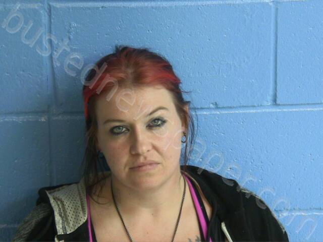 JOHNSON, ASHLEY N #, Humphreys County, Tennessee - 2025-10-28 19:58:00