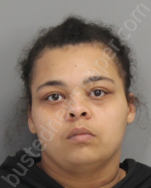 NELSON, PORTIA #, Brazos County, Texas - 2025-10-28