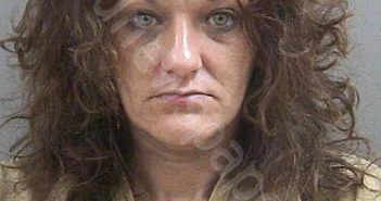 THAXTON, LAURA S | 2025-10-28 10:23:55 Lagrange County, Indiana Booking