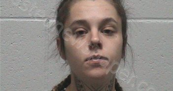 STEEN, TAYLOR GENE | 2025-10-28 17:28:02 Lyon County, Nevada Booking