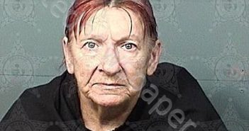 KLETZMAN, COLLEEN ANN | 2025-10-29 21:28:00 Brevard County, Florida Booking