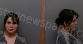 RODRIGUEZ, LORENA | 2025-10-29 Wise County, Texas Booking