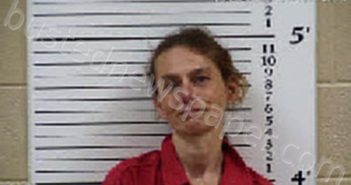 BROWN, CLARA BETH CHRISTINE | 2025-10-29 17:29:00 Cherokee County, North Carolina Booking