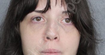 <B>SMITH</B>, <B>OLIVIA</B> FAITH #, Broward County, Florida - 2025-10-29