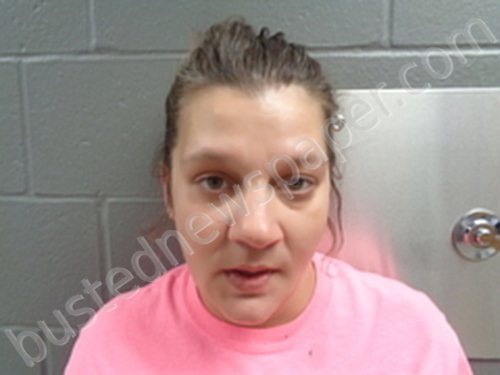 MARY,ELIZABETH NIERMAN #, Izard County, Arkansas - 2025-10-30 14:21:00