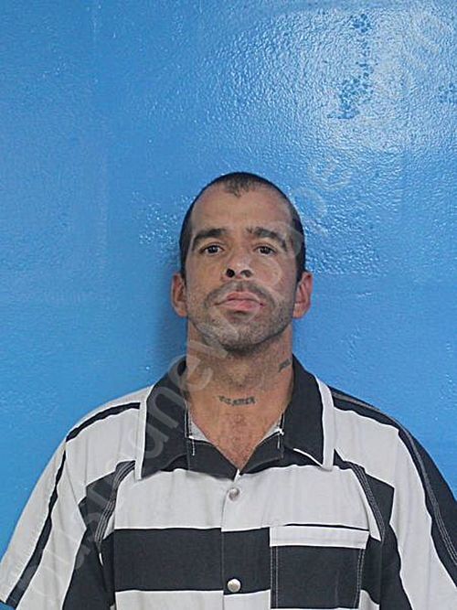 ALVARADO, VICTOR MANUEL #, Sullivan County, Tennessee - 2025-10-30 21:02:00