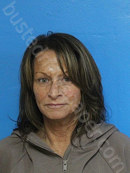 COLLEA, VICKIE LOUISE #, Sullivan County, Tennessee - 2025-10-30 15:14:00