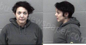 HIGGINS-RILEY, YVONNE MARIE | 2025-10-30 11:05:00 Crawford County, Kansas Booking