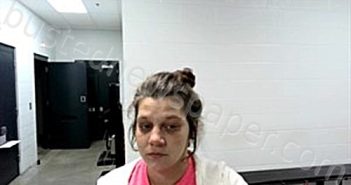 NIERMANN, MARY LAURAN | 2025-10-30 09:16:00 Fulton County, Arkansas Booking