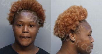 GIBSON, RENIAH JAMIAH | 2025-10-30 20:28:00 Miami-Dade County, Florida Booking