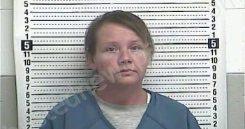 NETHERTON, SAMANTHA L | 2025-10-31 16:35:00 Casey County, Kentucky Booking