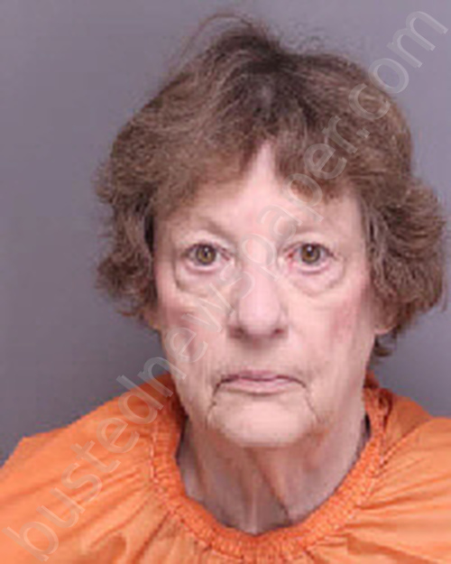 PICKENS, DIANA SUE #, Florence County, South Carolina - 2025-10-31 09:27:00