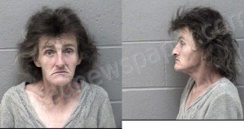 PASLEY, LORIE LYNN | 2025-10-31 17:07:00 Crawford County, Kansas Booking