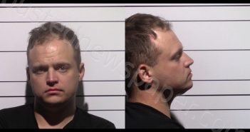 <B>ELLIS</B>, <B>SEAN</B> <B>LEE</B> #, Gillespie County, Texas - 2025-10-31