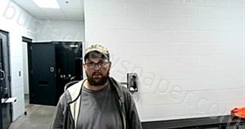 NISWONGER, DUSTIN | 2025-11-01 00:29:00 Fulton County, Arkansas Booking