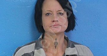 HEARL, LORRAINE | 2025-11-01 13:31:34 Sullivan County, Tennessee Booking