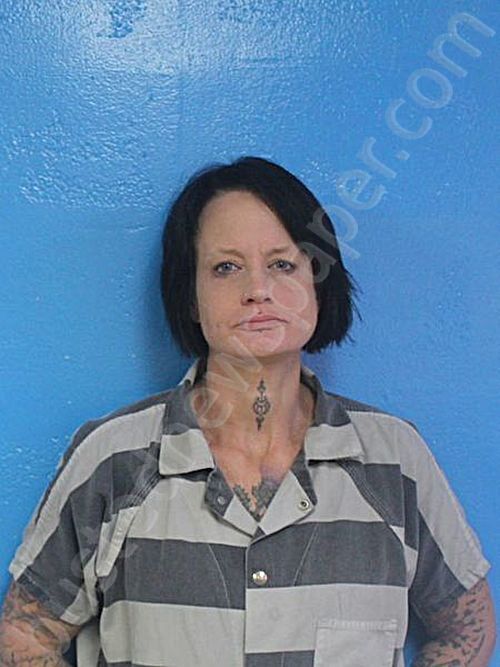 HEARL, LORRAINE #, Sullivan County, Tennessee - 2025-11-01 13:31:34