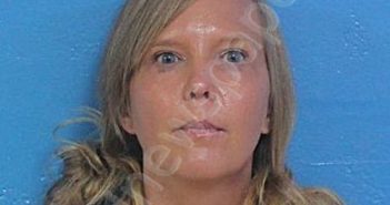CURTIS, BRANDI NICOLE | 2025-11-02 16:57:56 Sullivan County, Tennessee Booking