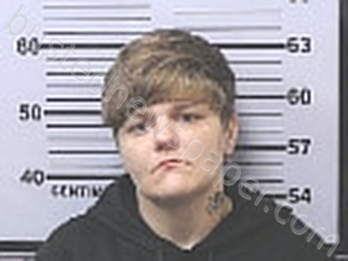 DOUGLAS, JAYME CELESTE #, Mobile County, Alabama - 2025-11-02