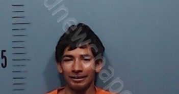 HONESTO, JUAN | 2025-11-02 Taylor County, Texas Booking