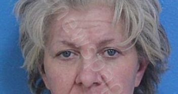 HUGHES, SUSAN DANETTE | 2025-11-02 23:37:00 Sullivan County, Tennessee Booking