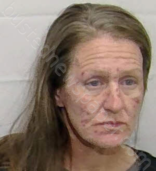 ETHERIDGE, ALEXANDRIA MARIE #, Columbus County, North Carolina - 2025-11-02 21:54:00