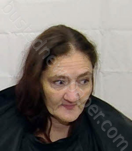 SPIVEY, REBECCA ANN #, Columbus County, North Carolina - 2025-11-02 01:15:00