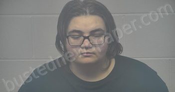 GOODMAN, NADIA | 2025-11-03 21:06:00 Carroll County, Kentucky Booking