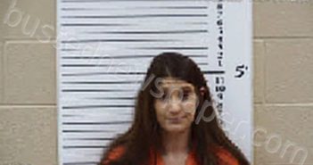 MOSLEY, COURTNEY MORGAN | 2025-11-03 09:49:00 Cherokee County, North Carolina Booking