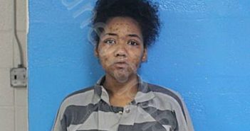 GROSS, MIKAYLAH NYCHELLE | 2025-11-03 01:32:00 Sullivan County, Tennessee Booking