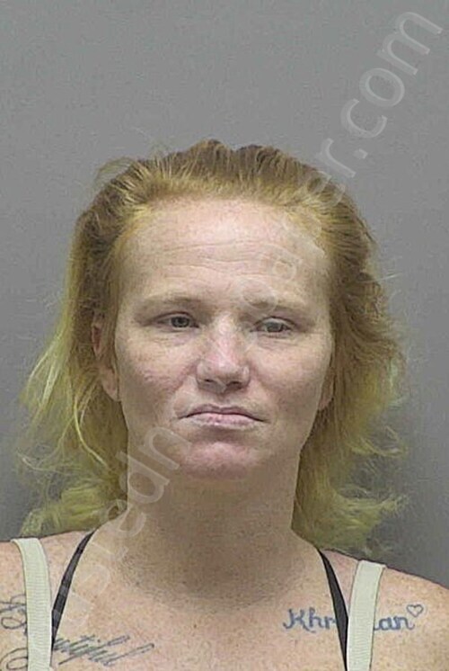 HALL, LISA NICOLE #, Lincoln County, North Carolina - 2025-11-03 18:21:00