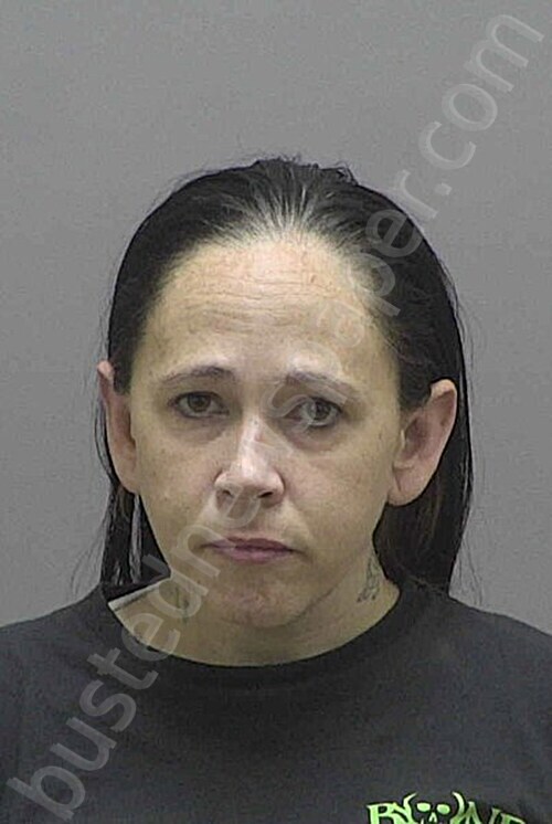 MANNO, NECIA MARIE #, Lincoln County, North Carolina - 2025-11-03 18:46:00