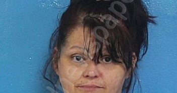 HOLLAND, BRANDI D | 2025-11-03 07:00:46 Sullivan County, Tennessee Booking