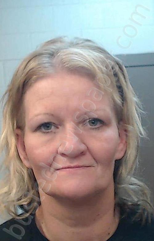 BREWER, TINA #, Cedar County, Missouri - 2025-11-04 15:03:00