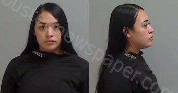 REYES, DULCE MARIA | 2025-11-04 Hidalgo County, Texas Booking