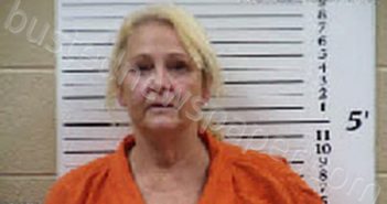 MARTIN, NANCY LYNN | 2025-11-04 20:16:00 Cherokee County, North Carolina Booking