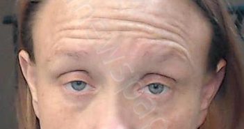 SOUTH, LESLIE | 2025-11-04 15:34:00 Cedar County, Missouri Booking