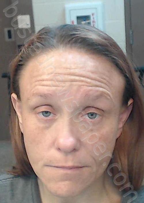 SOUTH, LESLIE #, Cedar County, Missouri - 2025-11-04 15:34:00