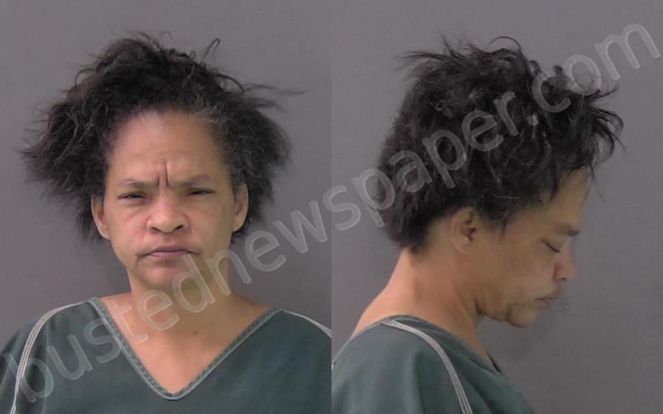 SANDERS, EBONY ANN #, Bell County, Texas - 2025-11-04 02:54:00