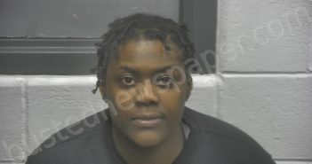 STEPHENSON, DARNESE MARCHELLE | 2025-11-04 16:29:00 Meade County, Kentucky Booking