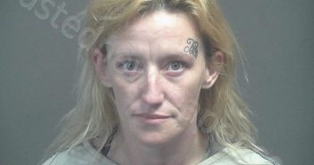 PLEMONS, ASHLEY NICOLE | 2025-11-05 14:07:00 Blount County, Tennessee Booking