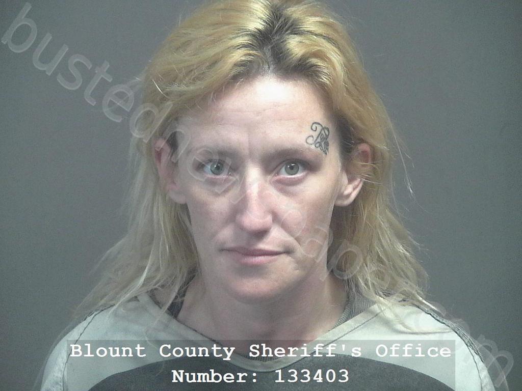 PLEMONS, ASHLEY NICOLE #, Blount County, Tennessee - 2025-11-05 14:07:00