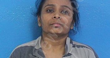 PATEL, REENABAHEN | 2025-11-05 15:03:00 Sullivan County, Tennessee Booking