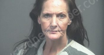 ETHERTON, KAREN GRIFFIN | 2025-11-05 12:54:00 Blount County, Tennessee Booking