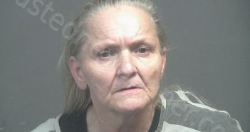 LOVEDAY, REGINA ANN | 2025-11-05 13:15:00 Blount County, Tennessee Booking