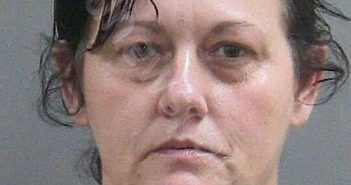 COLLINS, LINDA MARIE | 2025-11-05 00:39:24 Lagrange County, Indiana Booking