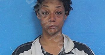 JOHNSON, SABRINA LASHEA | 2025-11-05 19:13:27 Sullivan County, Tennessee Booking